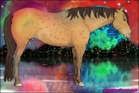 Horse Color:Sable Cream Champagne 