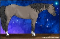 Horse Color:Grullo Tobiano 