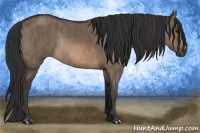 Horse Color:Brown Dun Rabicano  Brindle
