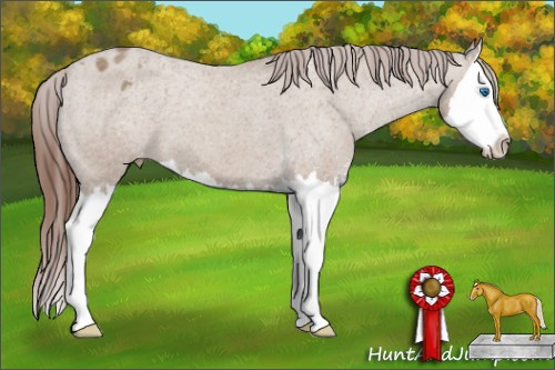 Horse Color: Classic Champagne Sabino Splash Blanket 