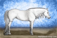 Horse Color:Gray White Spotted Grullo  Brindle