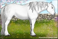 Horse Color:Gray White Spotted Black  Brindle
