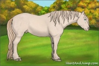 Horse Color:Perlino 