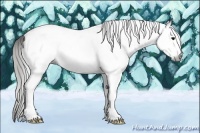 Horse Color:Gray White Spotted Black  Brindle