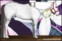 Horse Color:White Spotted Smoky Black  Brindle