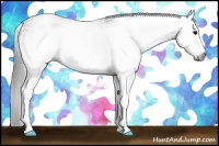 Horse Color:Gray White Spotted Grullo  Brindle