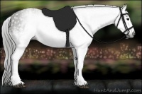 Horse Color:Gray White Spotted Smoky Black  Brindle