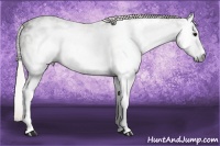 Horse Color:Gray White Spotted Silver Black Ice Brindle