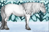 Horse Color:Gray White Spotted Black  Brindle