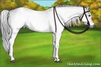 Horse Color:Gray White Spotted Black  Brindle