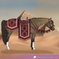 Horse Color:Buckskin Dun 