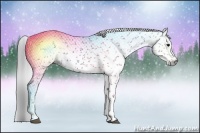 Horse Color:Gray White Spotted Black  Brindle