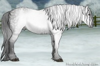Horse Color:Gray White Spotted Black  Brindle
