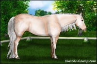 Horse Color:Gray White Spotted Smoky Black Brindle