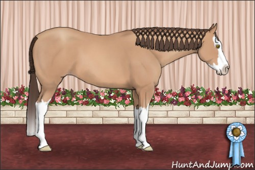 Horse Color: Amber Champagne Sabino Splash 
