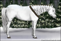 Horse Color:Gray White Spotted Black  Brindle