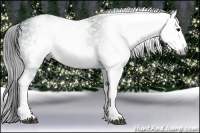 Horse Color:Gray White Spotted Black Ice Brindle