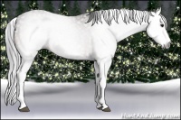 Horse Color:Gray Brown Splash 