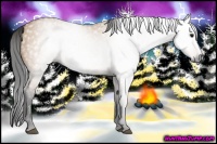 Horse Color:Gray Bay Dun 
