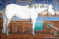 Horse Color:Gray Bay 