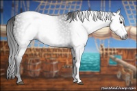 Horse Color:Gray Black 