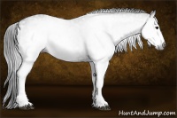 Horse Color:Gray White Spotted Black  Brindle