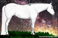Horse Color:Gray White Spotted Black  Brindle