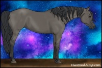 Horse Color:Grullo Rabicano 