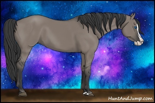 Horse Color: Grullo Splash 