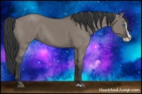 Horse Color:Grullo Splash 