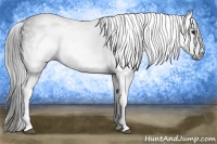 Horse Color:Gray White Spotted Black  Brindle