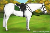 Horse Color:Gray White Spotted Black  Brindle