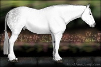 Horse Color:Gray White Spotted Black  Brindle