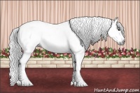 Horse Color:Gray White Spotted Black  Brindle