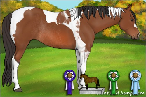 Horse Color: Bay Tobiano Rabicano 