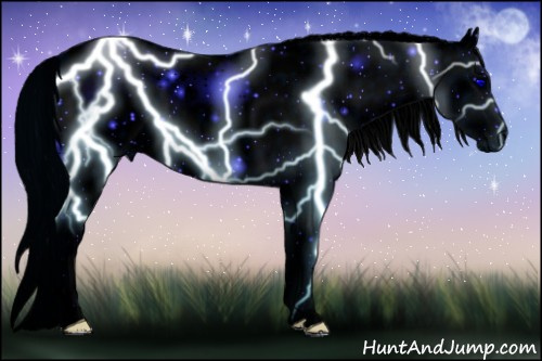 Horse Color: ERROR: UNKNOWN ANOMALY
