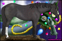 Horse Color:Buckskin Roan 