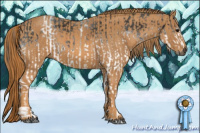 Horse Color:Gray White Spotted Black  Brindle