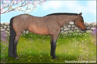 Horse Color:Bay Roan 