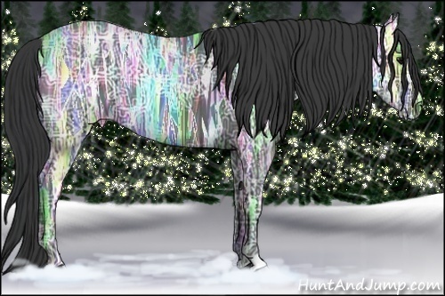 Horse Color: Black Ice 