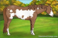 Horse Color:Chestnut Frame 