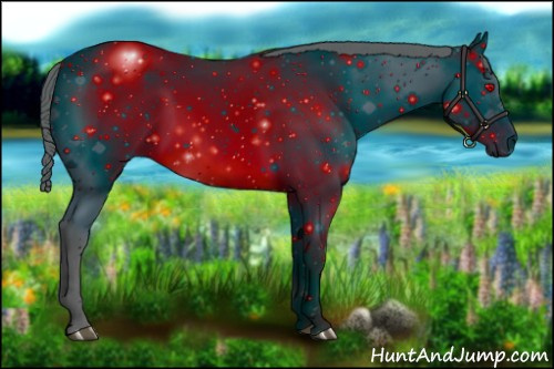 Horse Color: ERROR: UNKNOWN ANOMALY