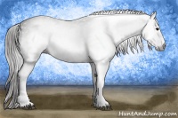 Horse Color:Gray White Spotted Black  Brindle