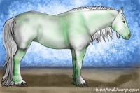 Horse Color:Gray White Spotted Black  Brindle