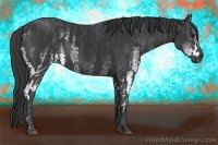 Horse Color:White Spotted Black  Brindle