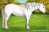 Horse Color:Gray White Spotted Classic Champagne  Brindle