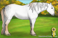 Horse Color:Gray White Spotted Black  Brindle