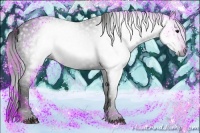 Horse Color:Gray White Spotted Black  Brindle