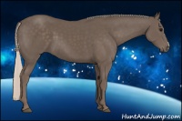 Horse Color:Silver Black 