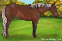 Horse Color:Silver Brown 
